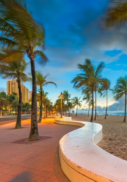 Street next to beach with palm trees in Fort Lauderdale